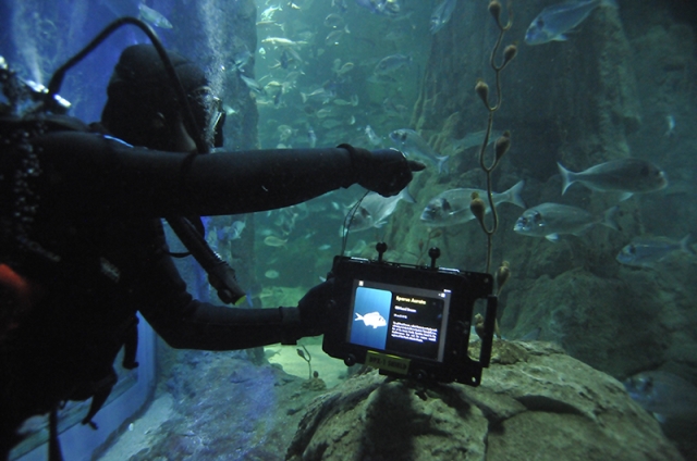 DPX-1 Shield Underwater Tablet Housing